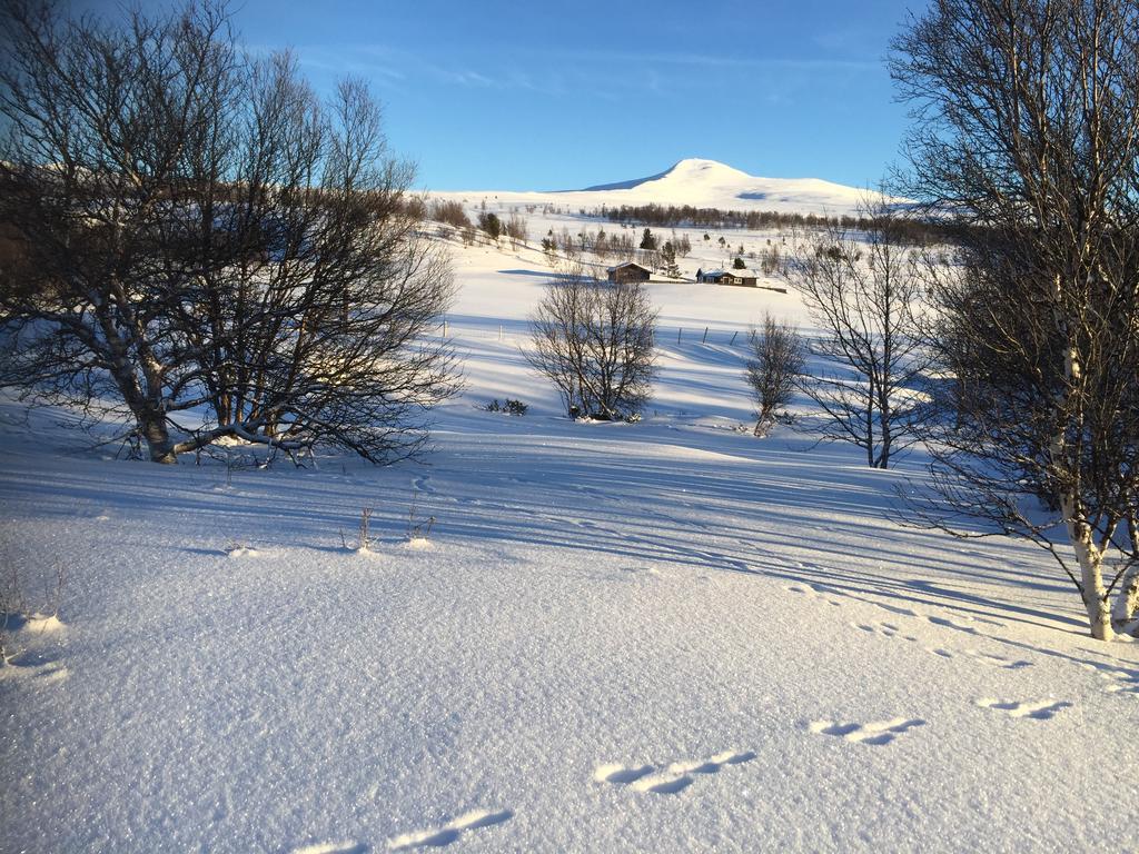 Putten Seter Høvringen Esterno foto