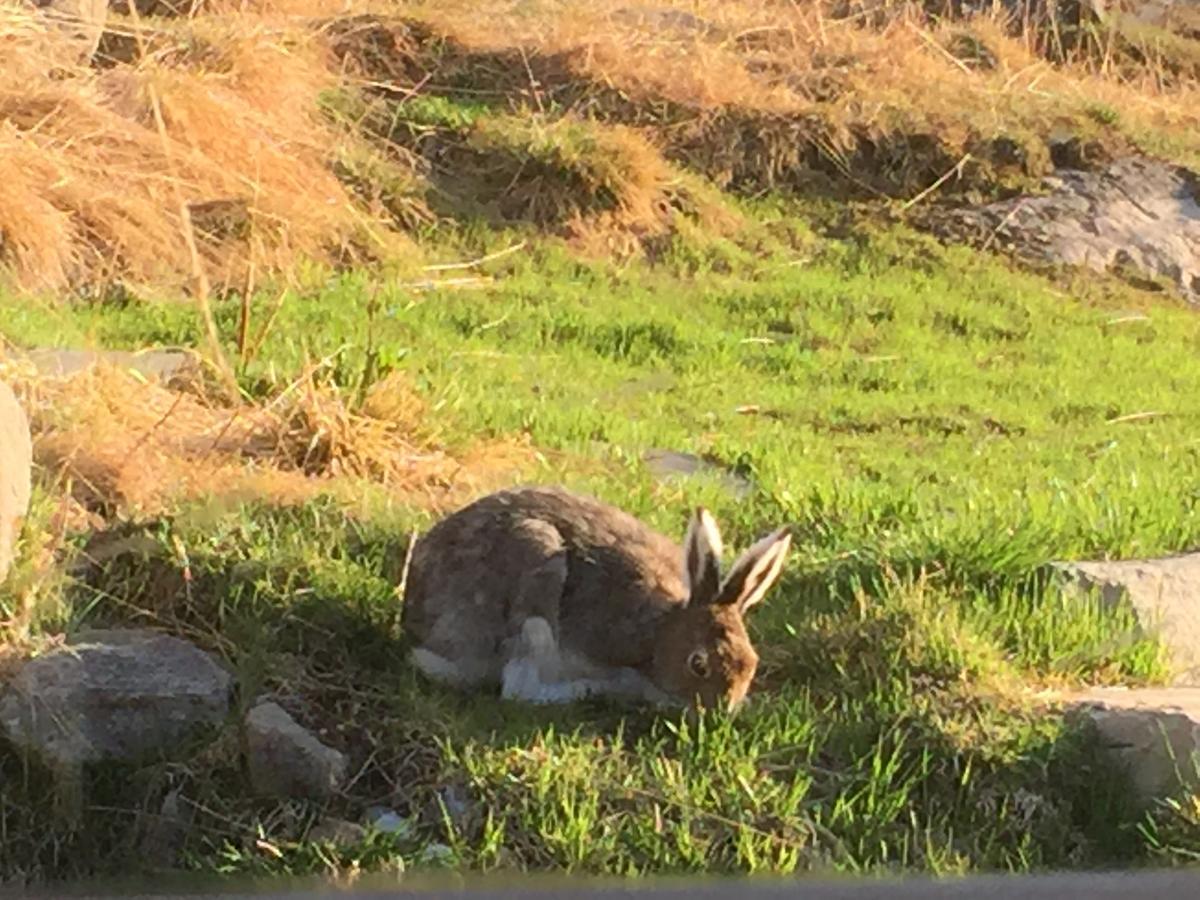 Putten Seter Høvringen Esterno foto